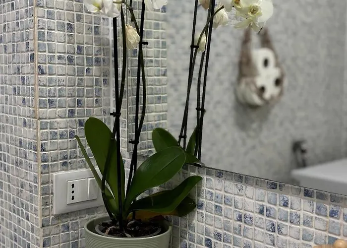 Jazz Loft * Pérouse